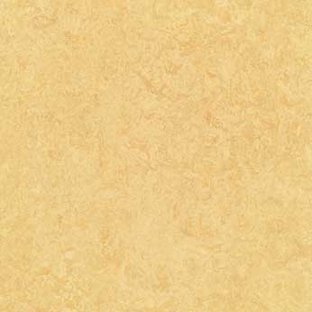 Muster Marmoleum dual butter t2795