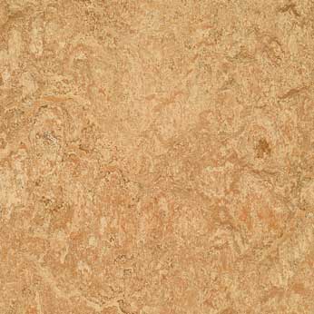 Muster Marmoleum dual shell t3075