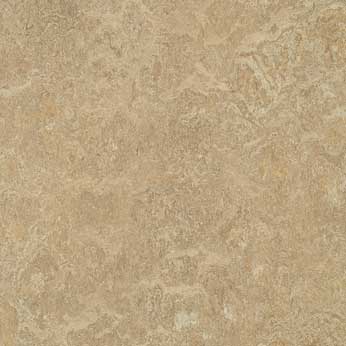 Muster Marmoleum dual forest ground t3234