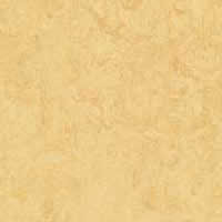Muster marmoleum dual t2795