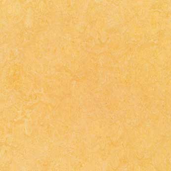 Muster Marmoleum Fresco 3846 natural corn