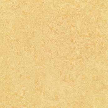 Muster Marmoleum real 2795 butter