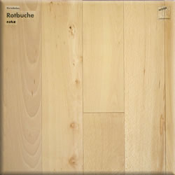 Rotbuche natur